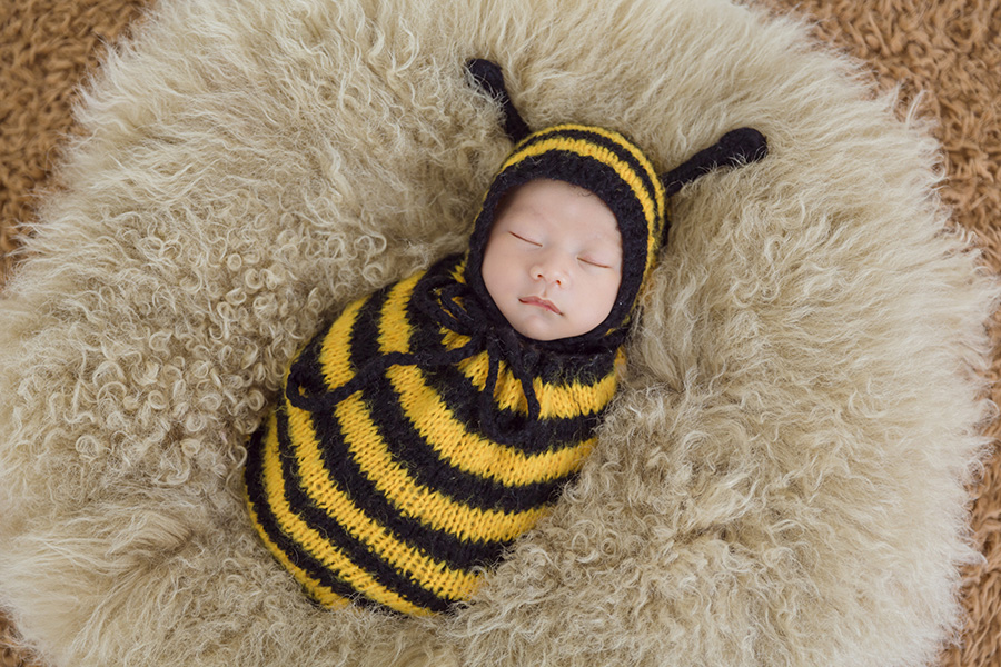 album ảnh newborn 41